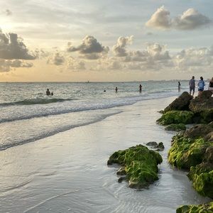 Meet your Posher, Averi